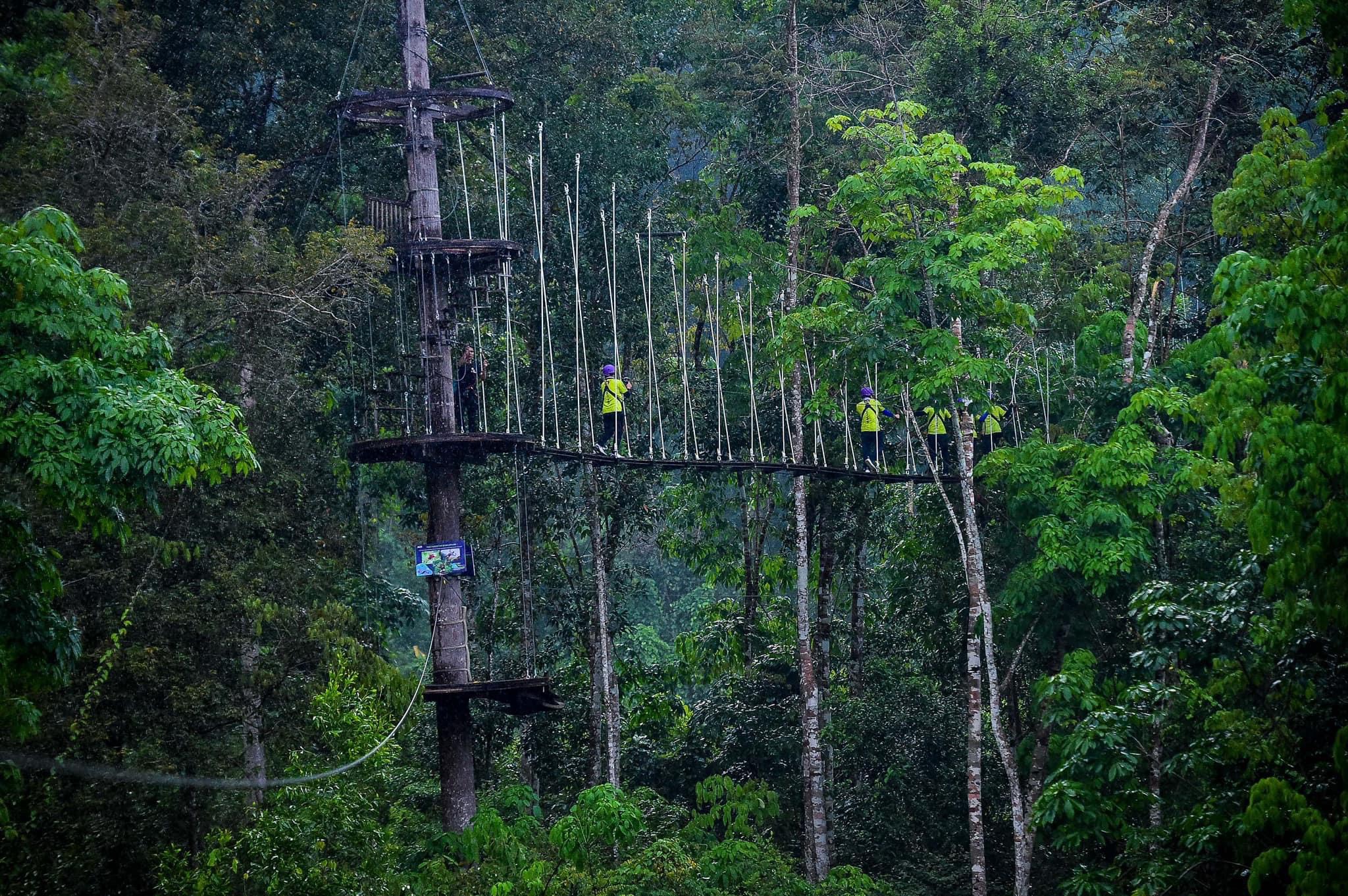 Zipline adventure through the jungle canopy at Kong Forest eco-tourism park near Nha Trang